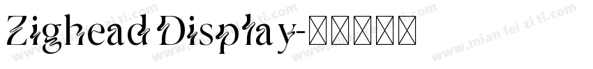 Zighead Display字体转换